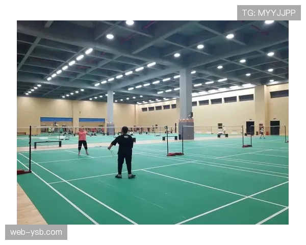 深度调查：全球航空旅行增加对羽毛球运动员体能和伤病的潜在影响